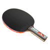 Rakietka do tenisa stołowego ping-ponga Giant Dragon 9★ N8092 + 2 piłeczki, pokrowiec