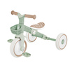 Rowerek Globber Learning Trike 2w1 Plus Ecologic / Pistachio 737-109