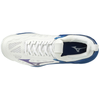 Buty do siatkówki Mizuno Wave Momentum - niebiesko-białe