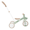 Rowerek Globber Learning Trike 3w1 Plus Ecologic / Pistachio 738-109