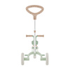 Rowerek Globber Learning Trike 3w1 Plus Ecologic / Pistachio 738-109