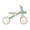 Rowerek Globber Learning Bike Ecologic / Pistachio 736-109