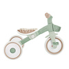 Rowerek Globber Learning Trike 2w1 Plus Ecologic / Pistachio 737-109