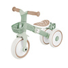 Rowerek Globber Learning Trike 2w1 Plus Ecologic / Pistachio 737-109