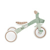 Rowerek Globber Learning Trike 3w1 Plus Ecologic / Pistachio 738-109