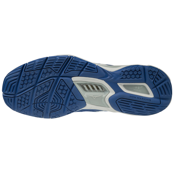 Buty halowe do piłki ręcznej Mizuno Wave Stealth 5, niebieskie