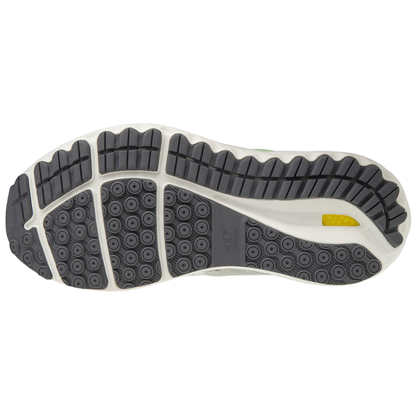 Buty do biegania Mizuno Wave Skyrise (W), szare