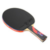 Rakietka do tenisa stołowego ping-ponga Giant Dragon 8★ N8081 + 2 piłeczki, pokrowiec