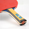 Rakietka do tenisa stołowego ping-ponga Giant Dragon 4★ N8042 + 2 piłeczki, pokrowiec