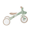 Rowerek Globber Learning Trike 3w1 Plus Ecologic / Pistachio 738-109
