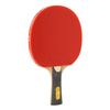 Rakietka do tenisa stołowego ping-ponga Giant Dragon 5★ N8052 + pokrowiec