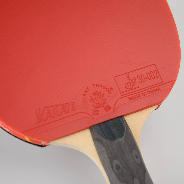 Rakietka do tenisa stołowego ping-ponga Giant Dragon 5★ N8051 + pokrowiec