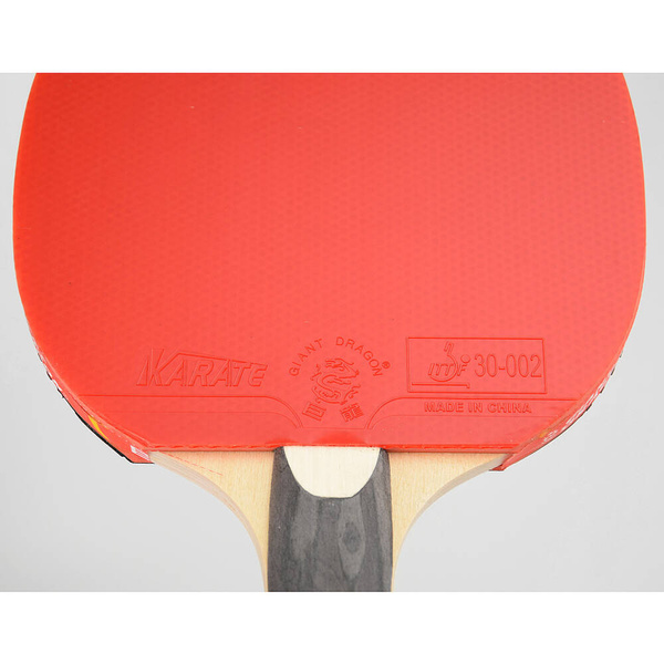 Rakietka do tenisa stołowego ping-ponga Giant Dragon 5★ N8052 + pokrowiec