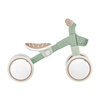 Rowerek Globber Learning Bike Ecologic / Pistachio 736-109