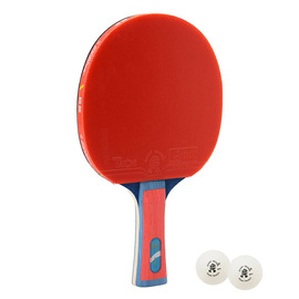 Rakietka do tenisa stołowego ping-ponga Giant Dragon 4★ N8041 + 2 piłeczki, pokrowiec